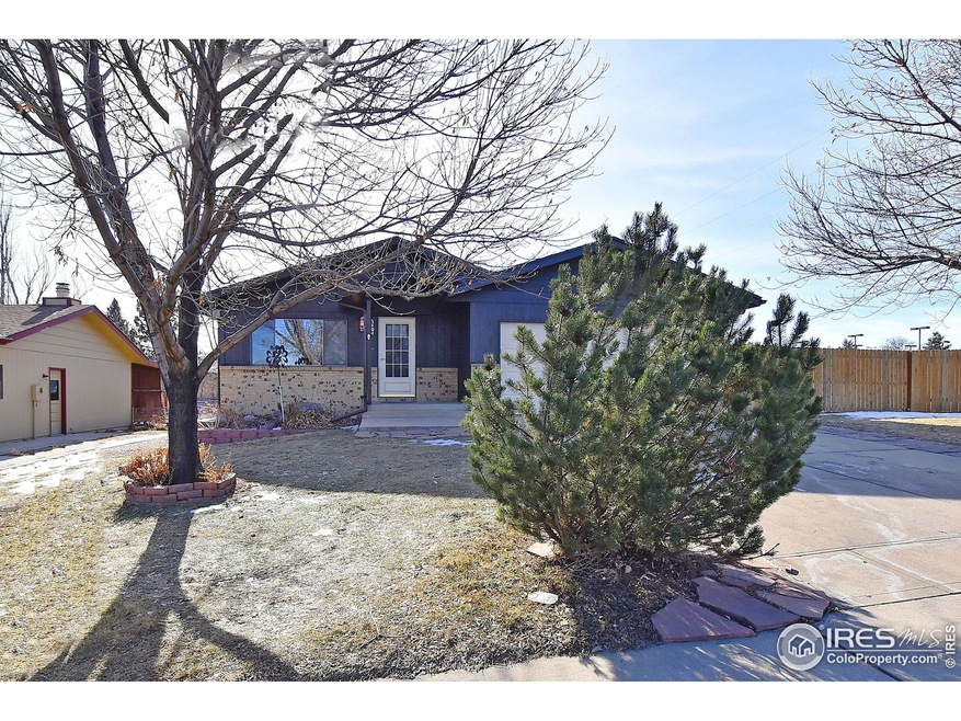 very nice front yard