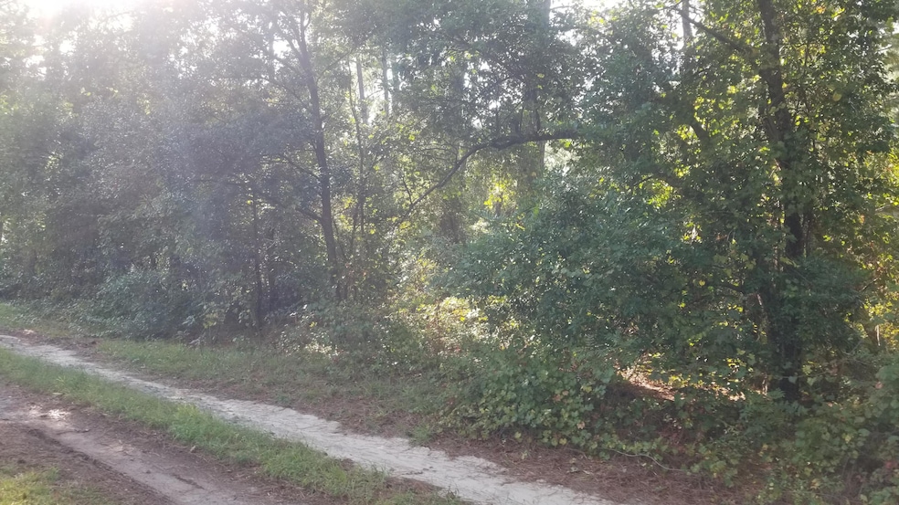 304 Domino Dr, Aberdeen, NC 28315 - photo 1