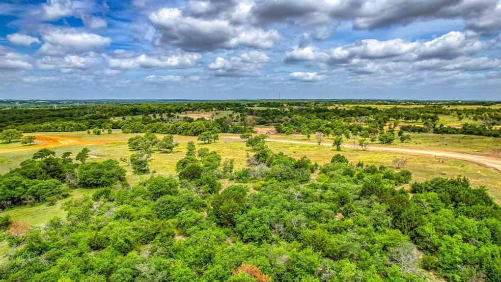 268 Latigo Way, Weatherford, TX 76088 - photo 1