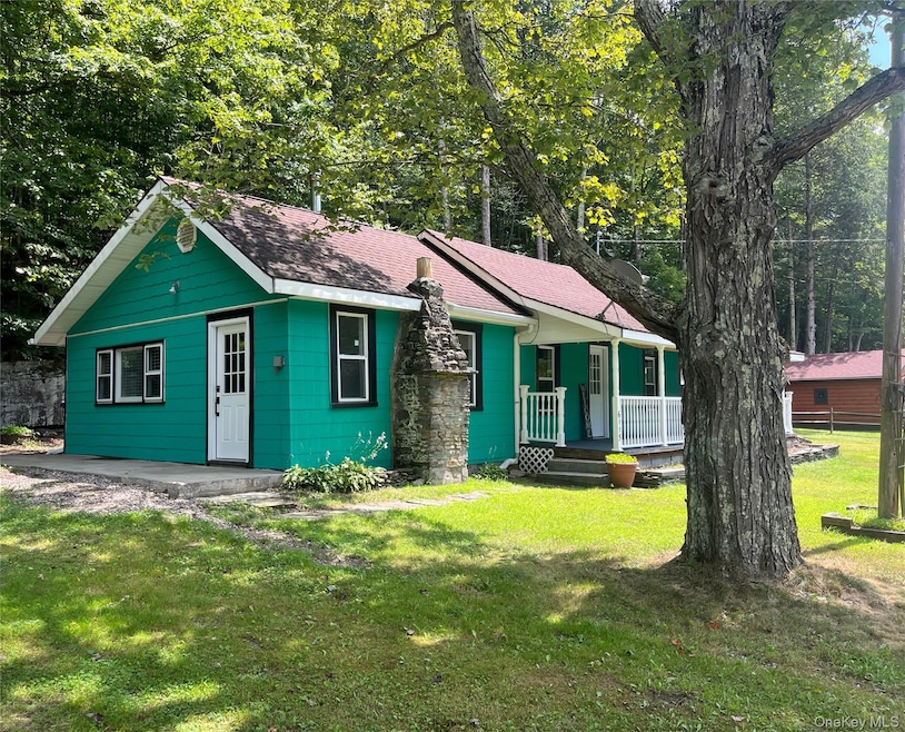 6115 State Route 52, Cochecton, NY 12726 - photo 1