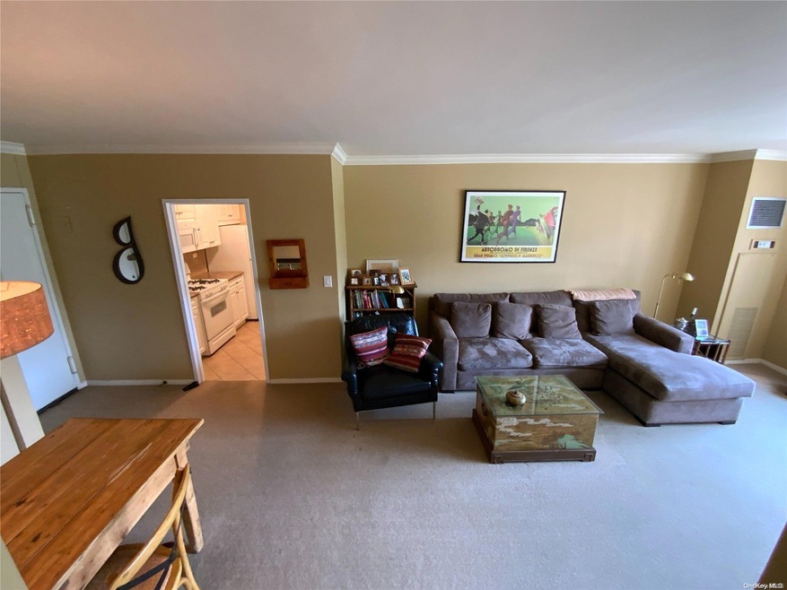 North Shore Towers unit 2C, Floral Park, NY 11005 - photo 1