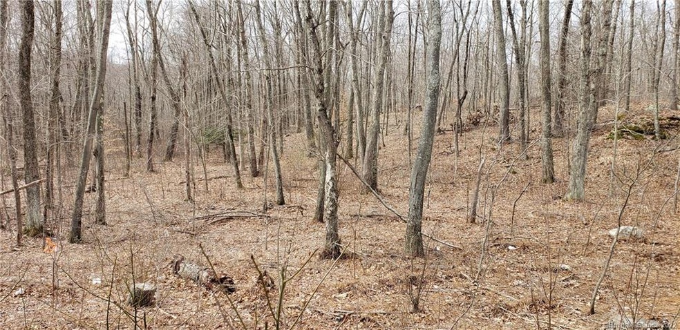 849 Middletown Rd, Colchester, CT 06415 - photo 1