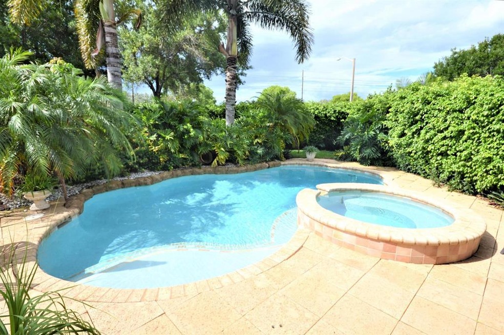 Tropical Paradise Backyard