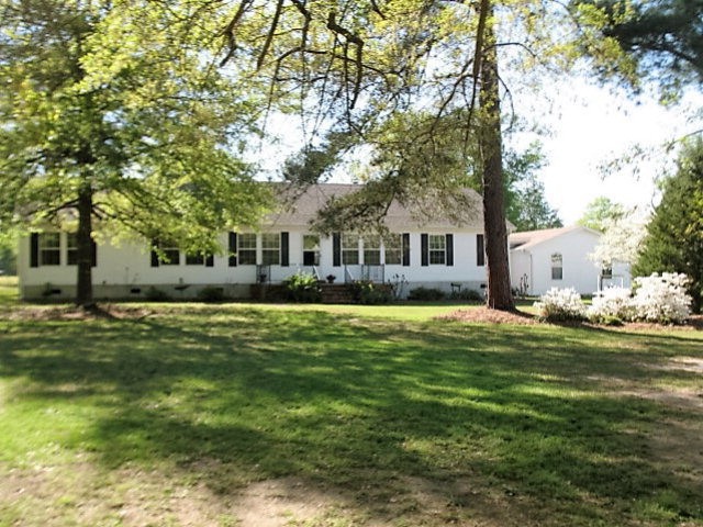 Main View