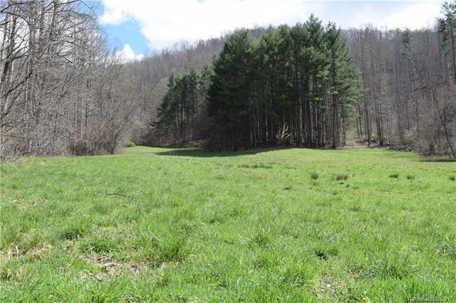 173 Doan Town Rd, Burnsville, NC 28714 - photo 1