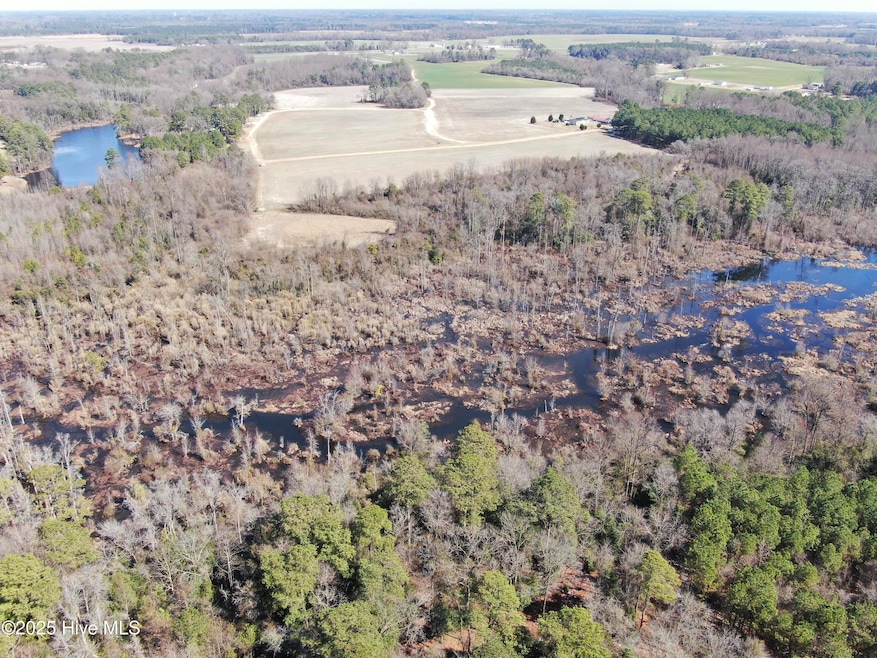 00 Trail End Ln, Newton Grove, NC 28366 - photo 1