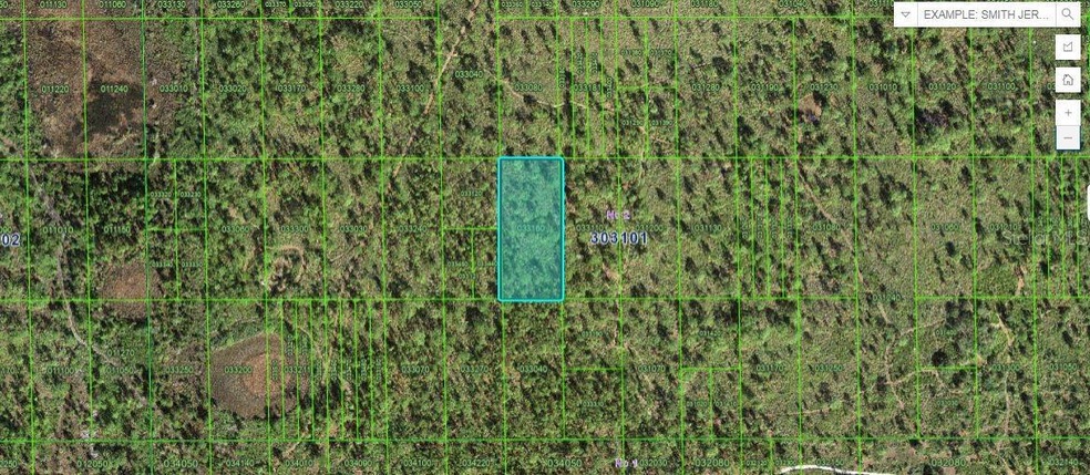 0 N A unit MFRO6266394, Lake Wales, FL 33898 - photo 1