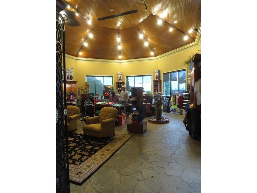 4700 Evanescence Way, Hampton, GA 30228 - photo 1