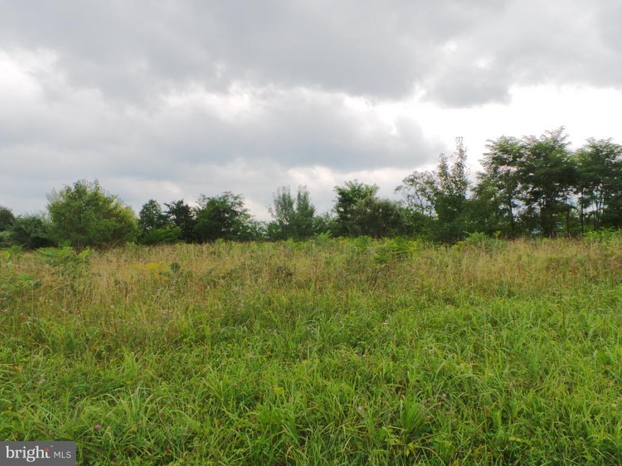 9 Timber Ridge Rd--Meadow Ln, Berkeley Springs, WV 25411 - photo 1