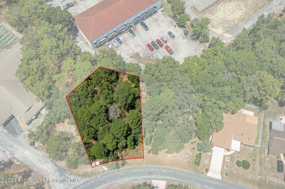 15-web-or-mls-DJI_0258_outlinesa