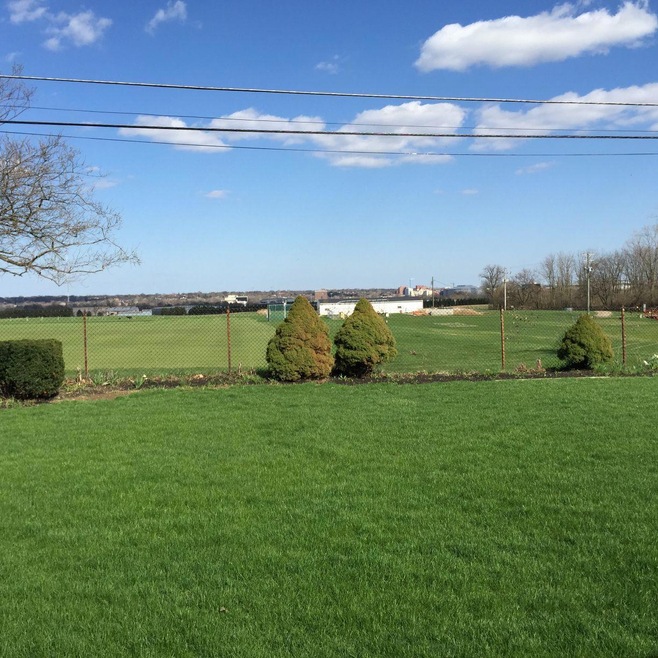 backyard 3