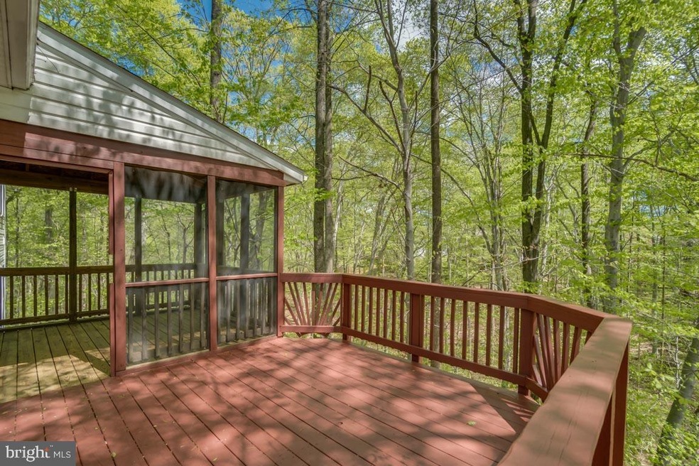 44 Lawhorn Rd, Stafford, VA 22554 - photo 1