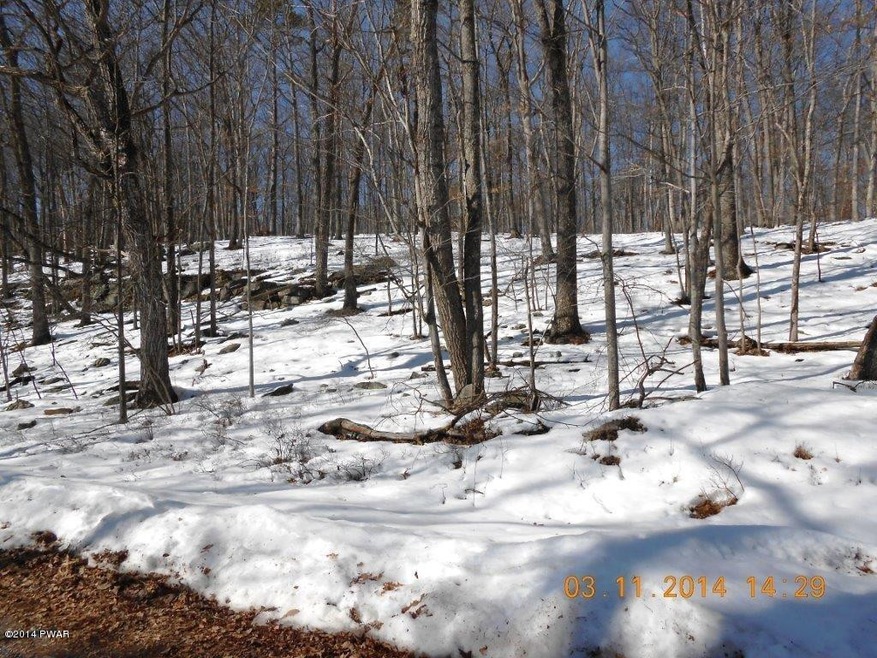 0 Mountain View Rd, Lackawaxen Township, PA 18425 - photo 1