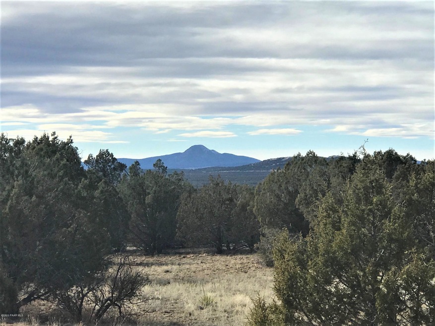 5354 N Forest Line Rd, Ash Fork, AZ 86320 - photo 1