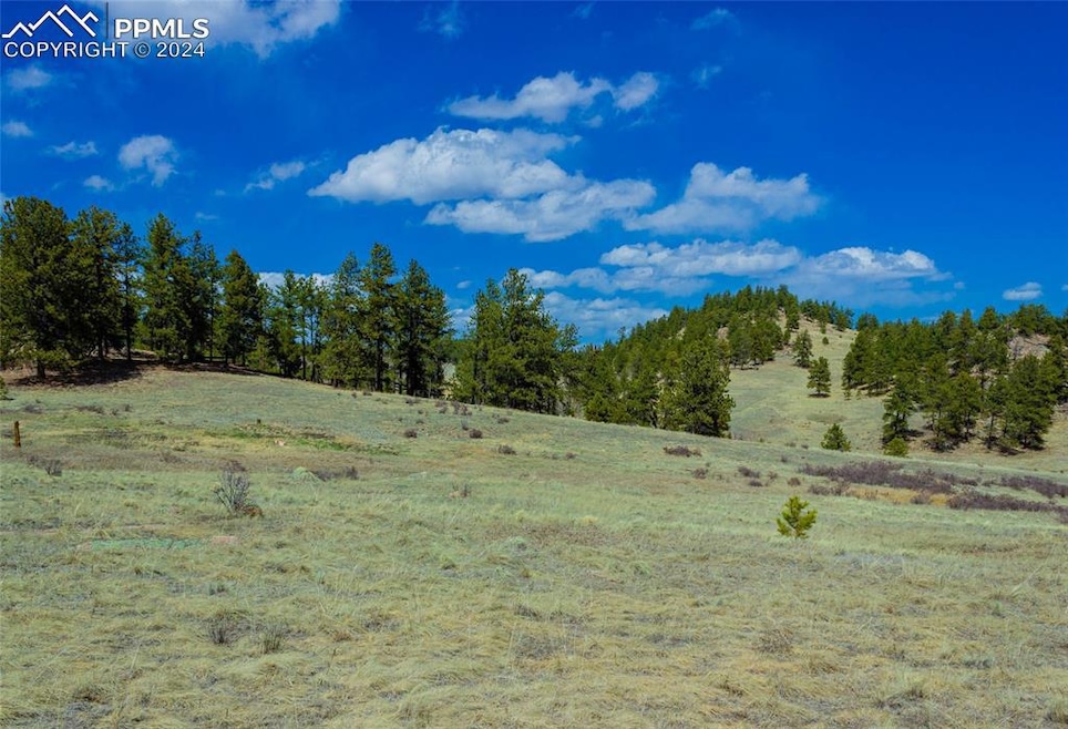 This exceptional parcel of land in the Colorado mountains is waiting for you!