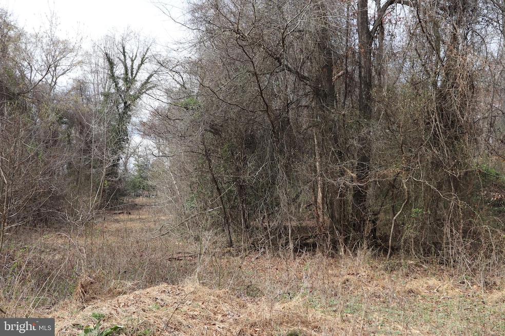 Lots 2-15 Penguin Place, Bryans Road, MD 20616 - photo 1