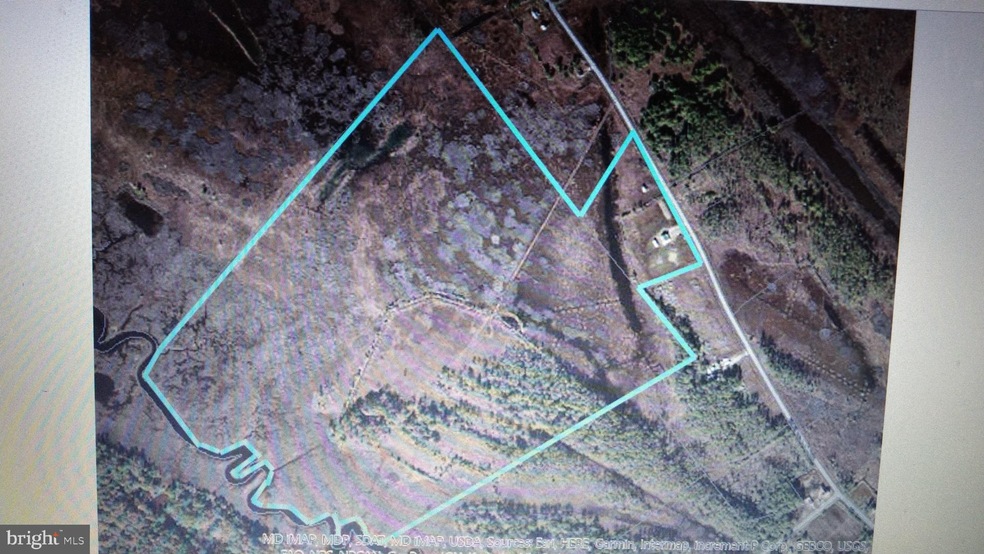 0 Toddville Rd unit MDDO125174, Toddville, MD 21672 - photo 1