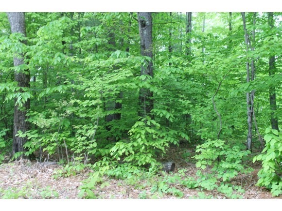 52 Tracy Way, Meredith, NH 03253 - photo 1