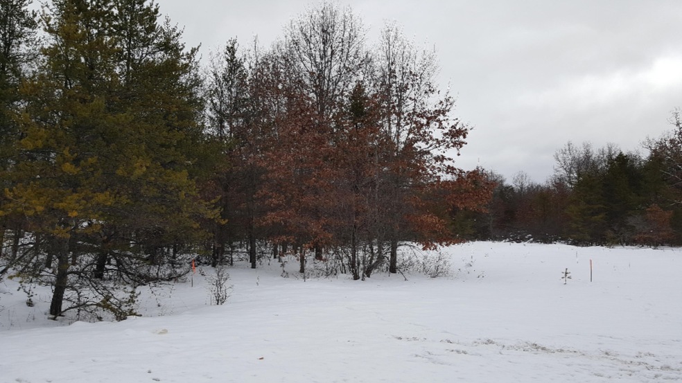 20160128_142545