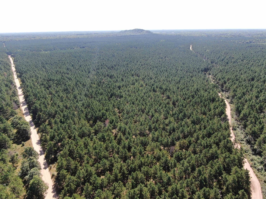 77 AC State Highway 13 Acres, Nekoosa, WI 54457 - photo 1