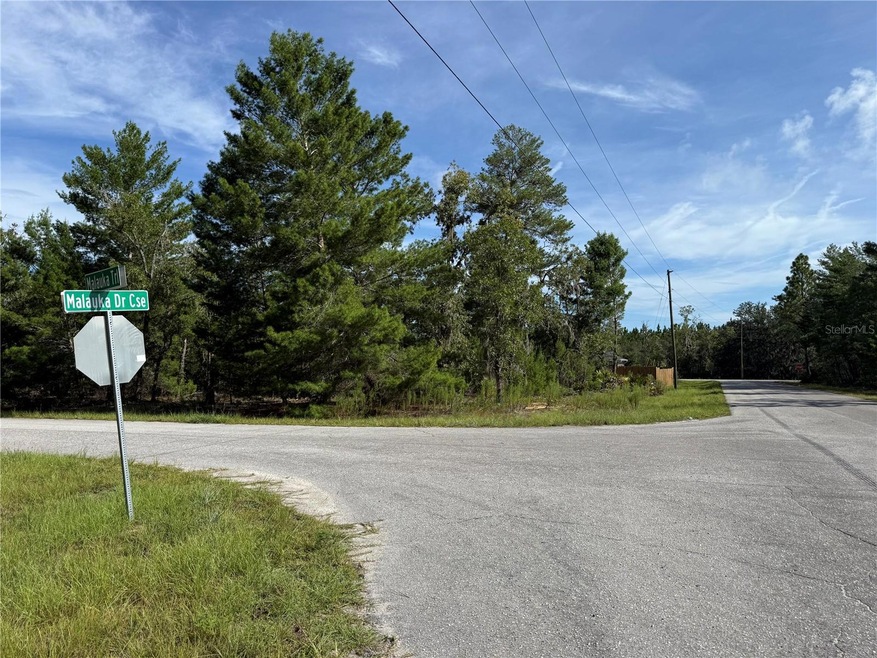 0 Malauka unit MFRW7879090, Ocklawaha, FL 32179 - photo 1