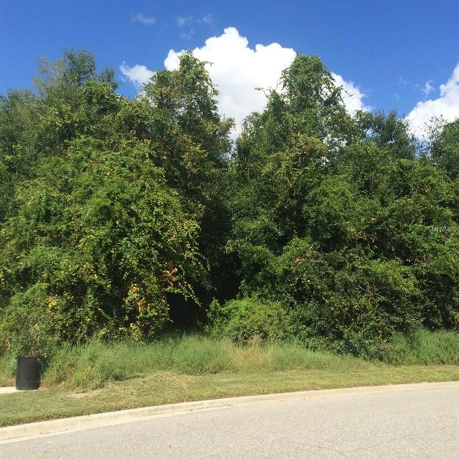 0 Palm Cove Dr unit S4805627, Orlando, FL 32835 - photo 1