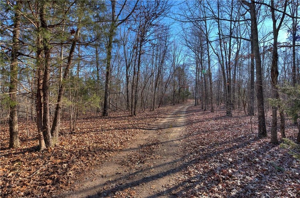 View of local wilderness