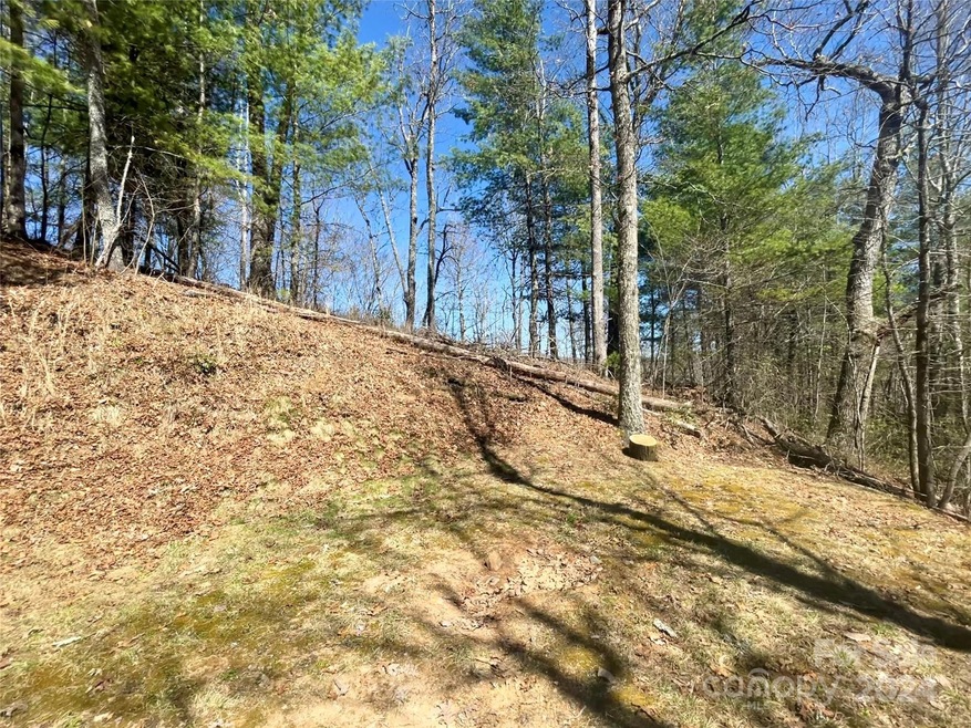 Lot 3 on Saturn Way unit 3, Bryson City, NC 28781 - photo 1