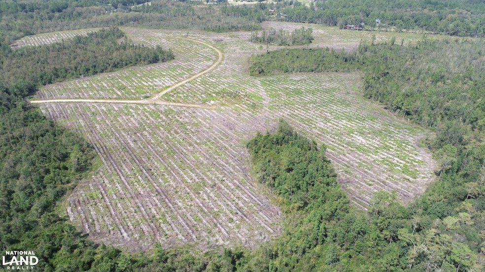 0 County Line Rd unit 18961791, Hinesville, GA 31313 - photo 1