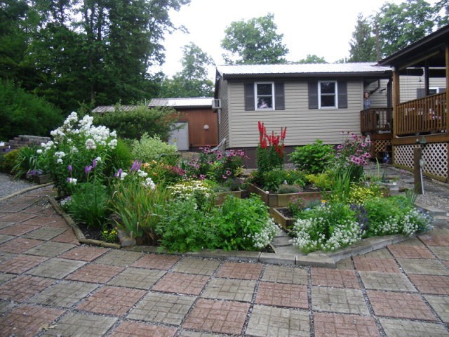 Main View