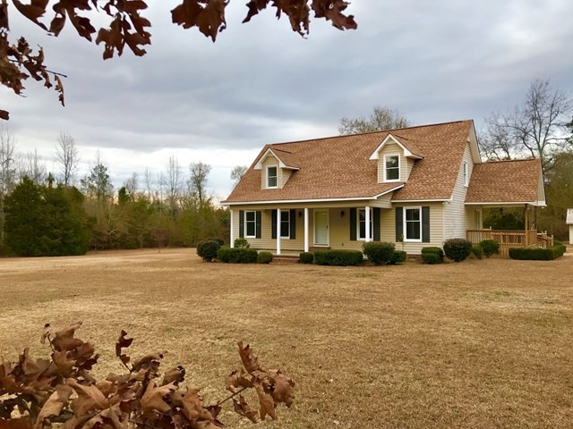 Main View
