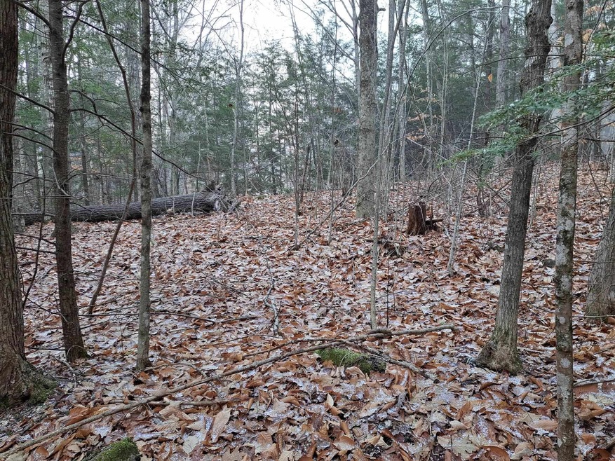0 Holland Trail unit Lots 8 & 9 of Snowoo, Thornton, NH 03285 - photo 1