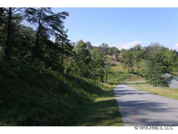 67 Magnolia Farms Dr unit 13, Asheville, NC 28806 - photo 1