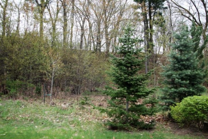 Lot9