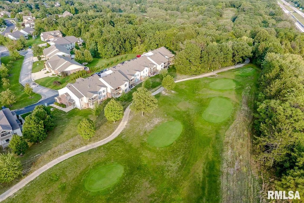 4511 N Tallgrass Ln unit 204, Peoria, IL 61615 - photo 1