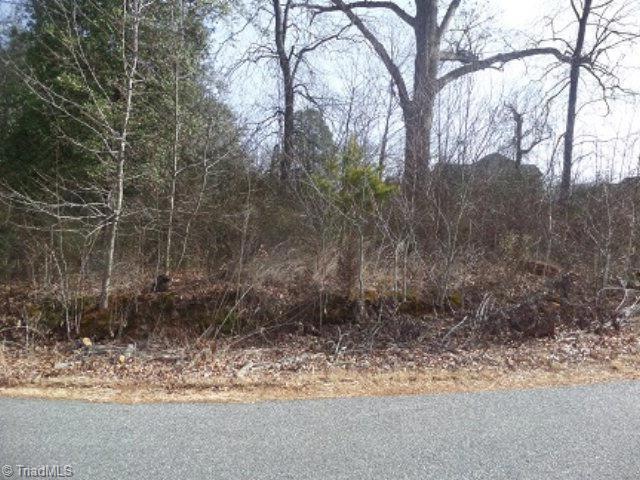 L 17 Mountain Meadow Ln, Purlear, NC 28665 - photo 1