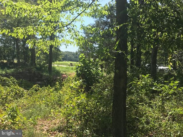 4550 Dumfries Road - Route 605 Nearest Fairmeadow Ln, Catlett, VA 20119 - photo 1