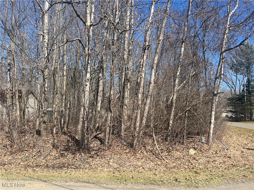 2455 Plum Creek, Roaming Shores, OH 44084 - photo 1