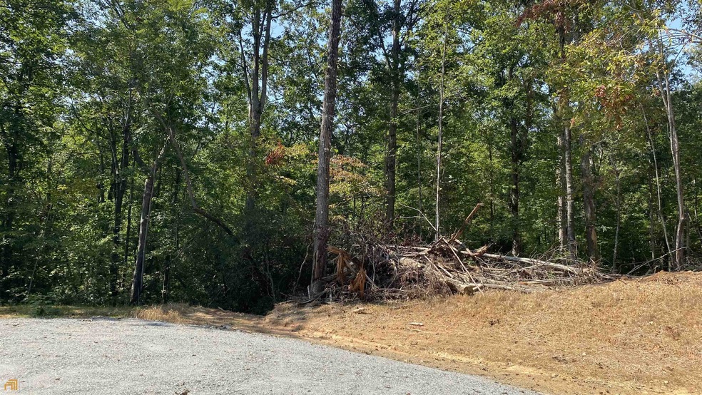 0 Dustin Brook Ln unit 9 20000755, Clarkesville, GA 30523 - photo 1