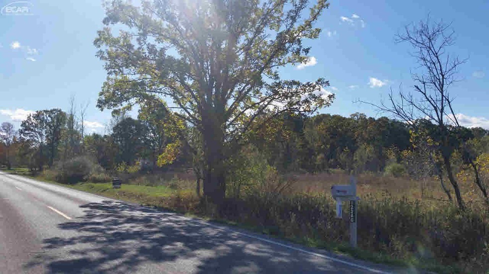 0 N Elms Rd unit 30069619, Clio, MI 48420 - photo 1