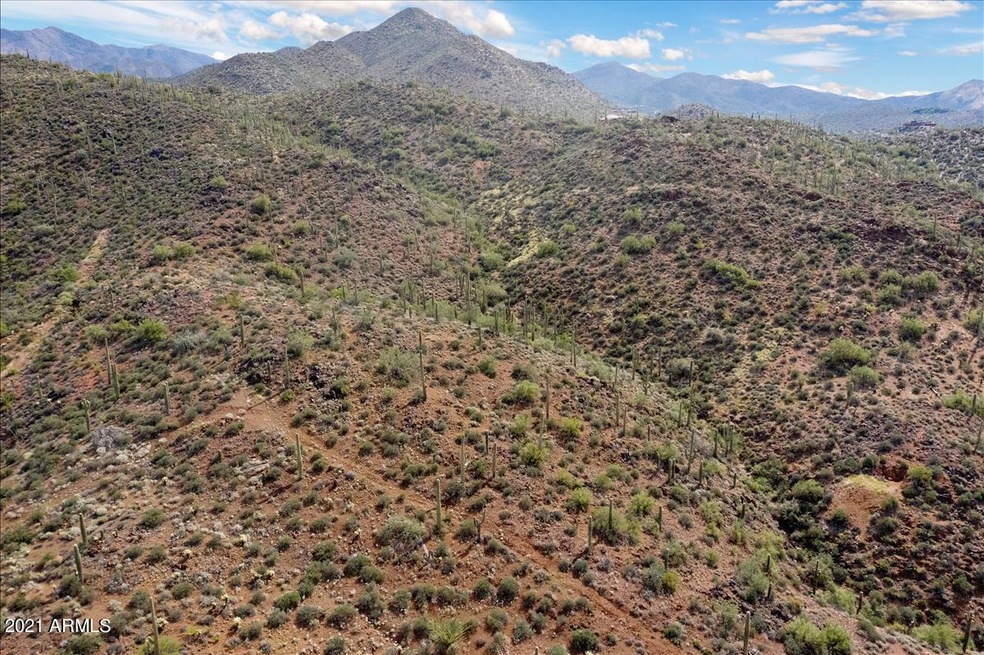 DJI_0927 (3)