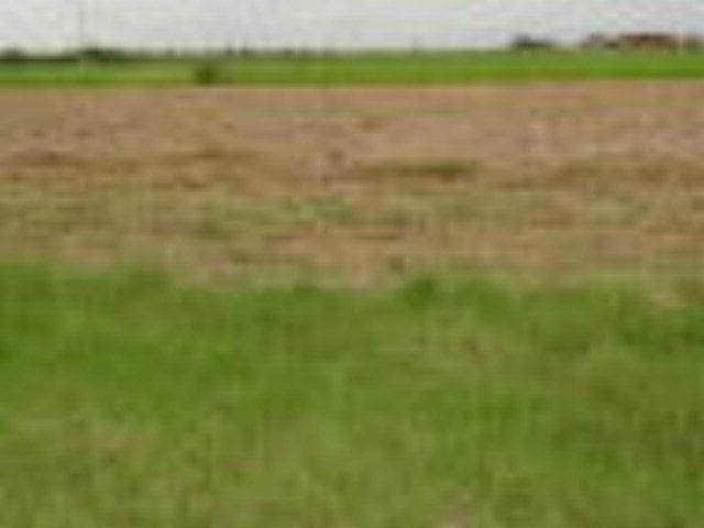 21 Terranova Cir, Edinburg, TX 78541 - photo 1