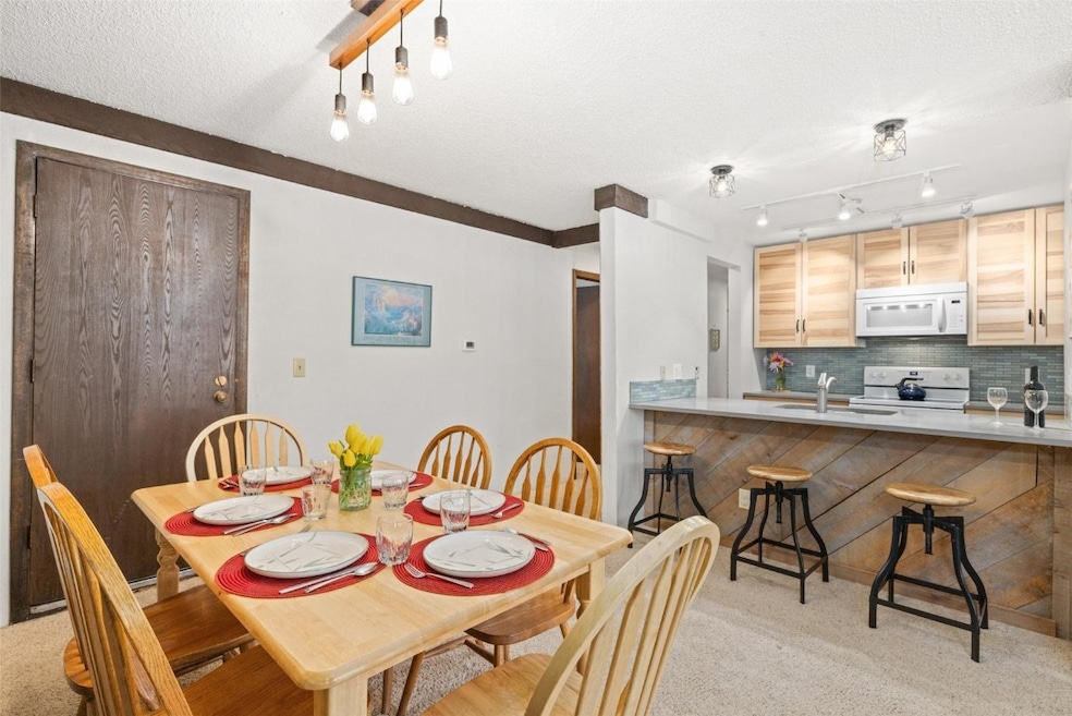 Longbranch unit 107, Breckenridge, CO 80424 - photo 1