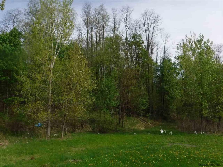 54 Rose Ln, Rensselaer, NY 12144 - photo 1