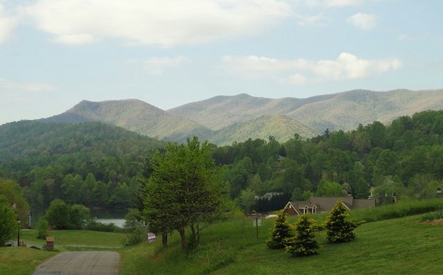 Main View