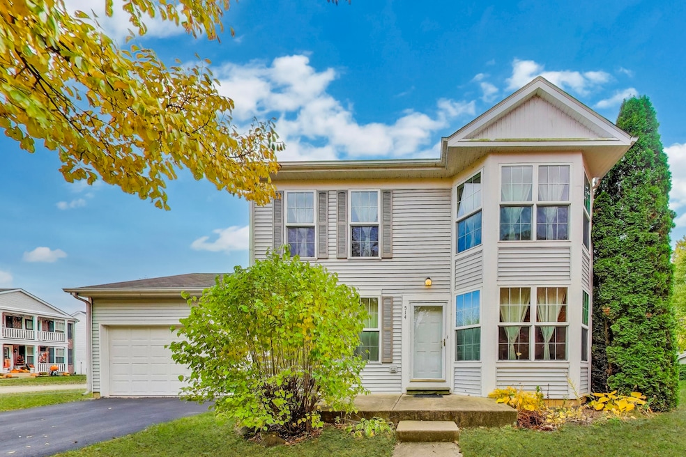 514 Bentson St, Oswego, IL 60543 - photo 1