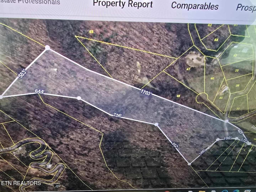 Red Rooster Way Photo use 7