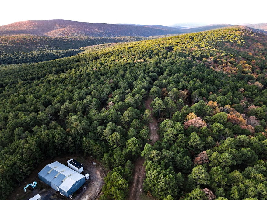 9915 Oklahoma 2, Wilburton, OK 74578 - photo 1