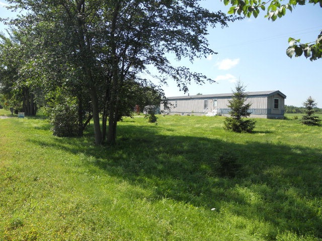 Main View