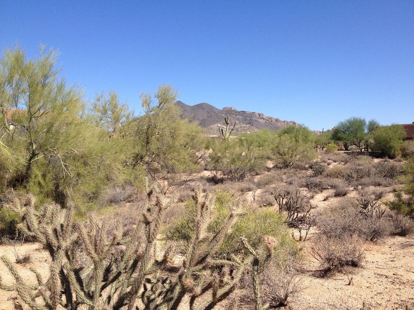 Looking North from Property